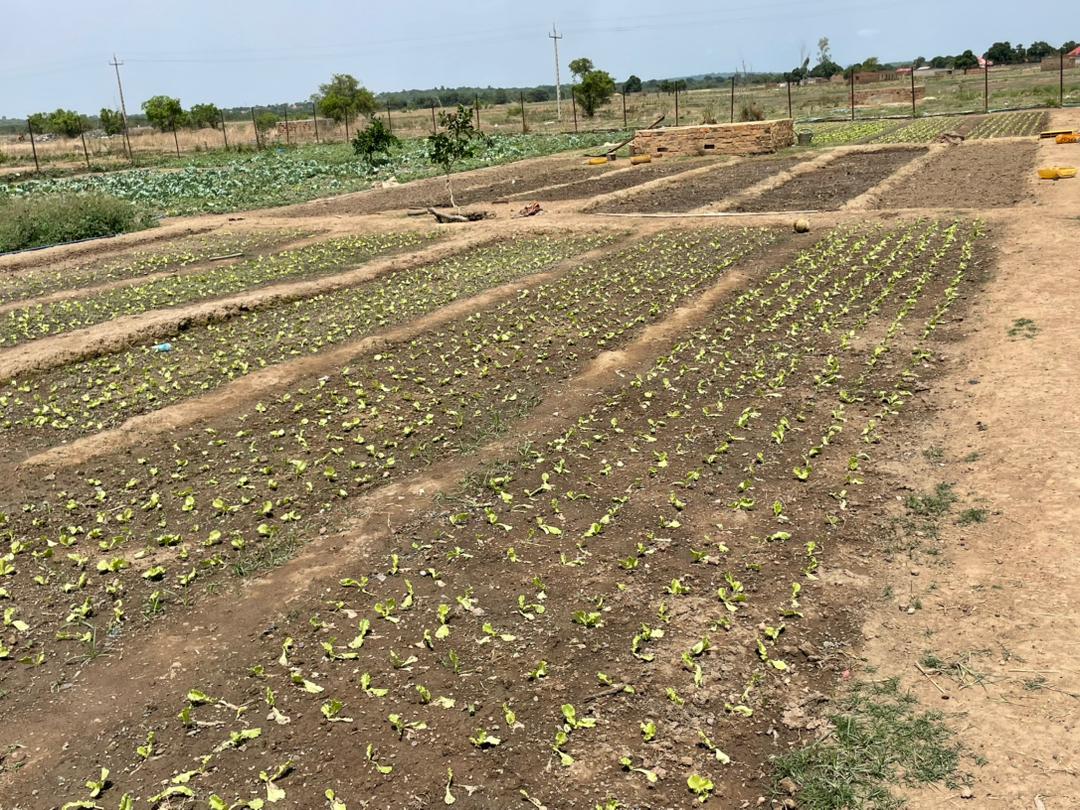 Acord Guinée milite en faveur d’une transition agroécologique