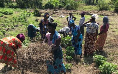 Reconnaître et protéger l’agriculture familiale en Guinée : itinéraire d’un plaidoyer réussi