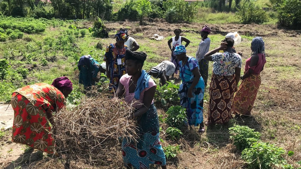 Reconnaître et protéger l’agriculture familiale en Guinée : itinéraire d’un plaidoyer réussi