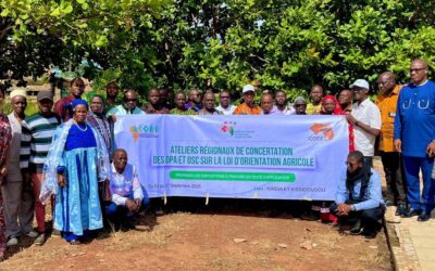De Kindia à Dabola : les acteurs ruraux en marche pour l’opérationnalisation de la Loi d’Orientation Agricole (LOA)