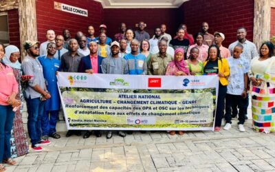 Agriculture, climat et genre : des acteurs guinéens s’engagent pour une adaptation juste