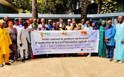 Sécuriser la Terre, Assurer la Production : L’Urgence des Textes d’Application de la LOA