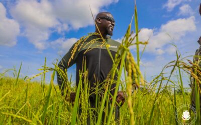 Guinée : la Politique Foncière Agricole adoptée au conseil des ministres le 03 septembre 2026